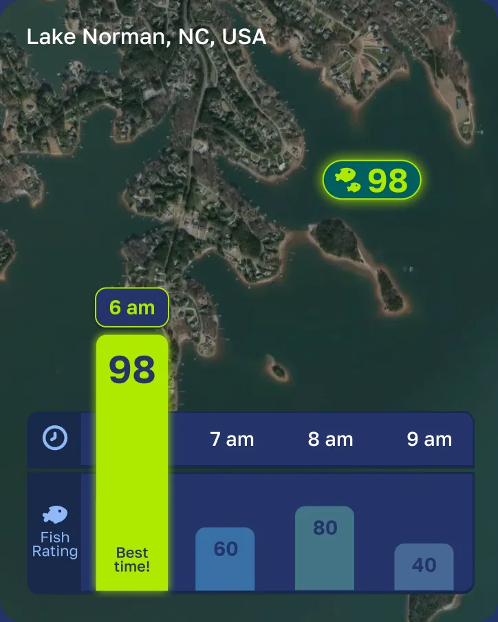 Fishly forecasting the bite hour by hour for Lake Norman, with 6 am rated 98 and marked the best time