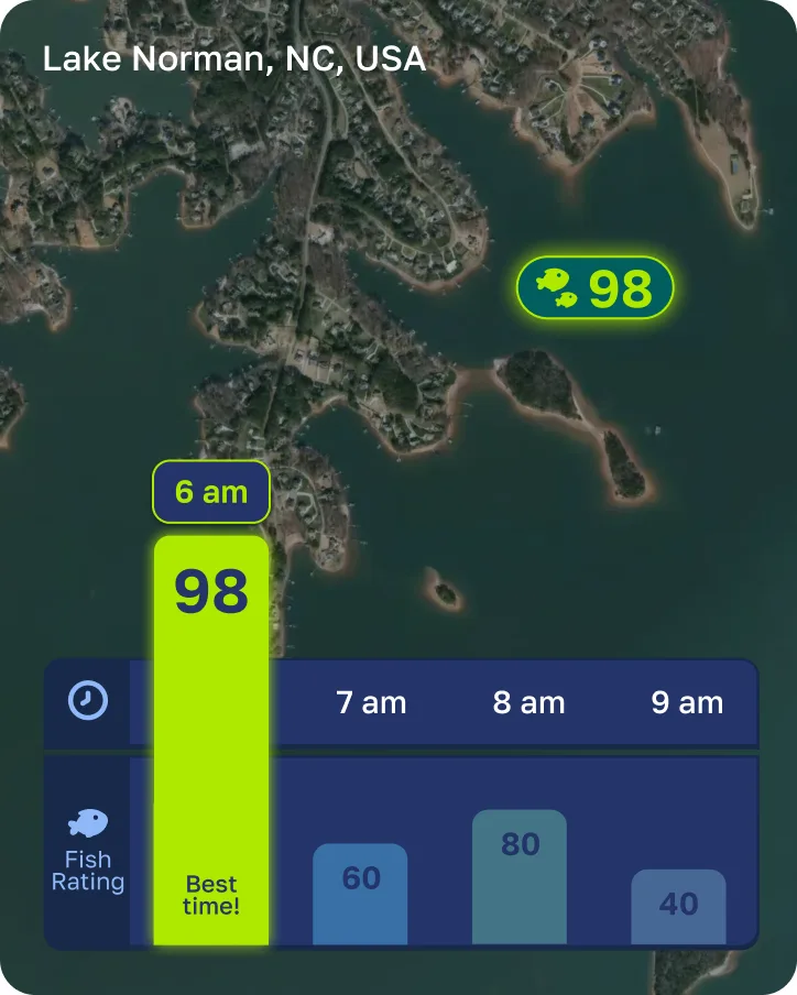 Fishly forecasting the bite hour by hour for Lake Norman, with 6 am rated 98 and marked the best time