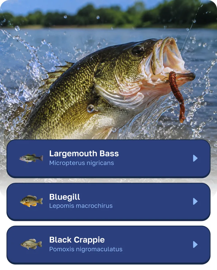 Fishly listing the species in the water — largemouth bass, bluegill and black crappie — over a photo of a bass striking a lure